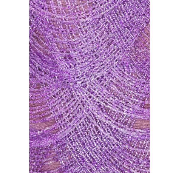 Bronx and Banco Lilac
Wayla Dress beaded mini purple party Revolve $1200 M - Picture 2 of 15